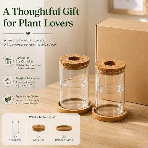 Glass Plant Propagation Stations, 2PCS | Hydroponic Vases, Wooden Lid, Bamboo Stand, Home & Office Decor