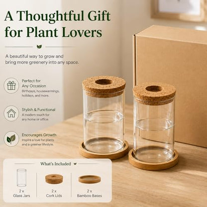 Glass Plant Propagation Stations, 2PCS | Hydroponic Vases, Wooden Lid, Bamboo Stand, Home & Office Decor