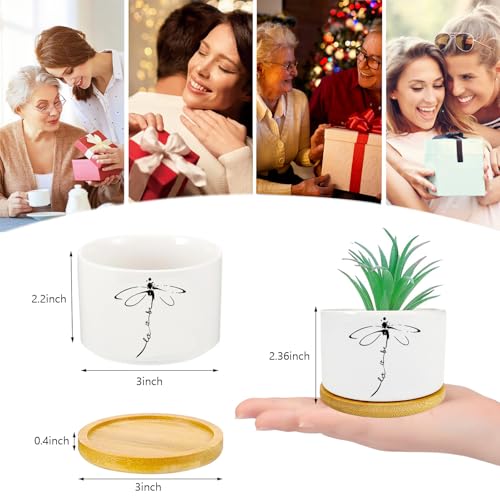1Pcs Dragonfly Succulent Pots with Drainage and Bamboo Tray, Ceramic Pot | 3 Inch Small Planters for Plants,Cactus,Decoration for Office Home,Garden,Windowsill,Gifts for Women Mom (No Plants Included) - style: Dragonfly
