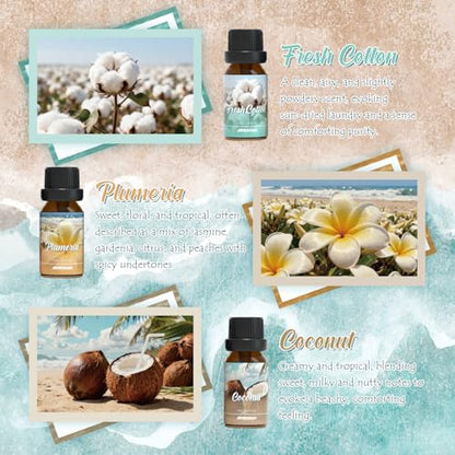 ARVIDSSON Summer Essential Oils Set, Tropical Fragrance Oil for Diffuser, Soap and Candle Making - Ocean Breeze, Pina Colada, Fresh Cotton, Pink Sand, Plumeria, Coconut, Scented Oil for Home - color: Light Blue