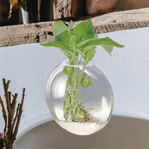Wall Hanging Hydroponic Glass Vase for Plants, Flat Glass Terrarium Planter, Balcony and Home Décor, 1pcs Set