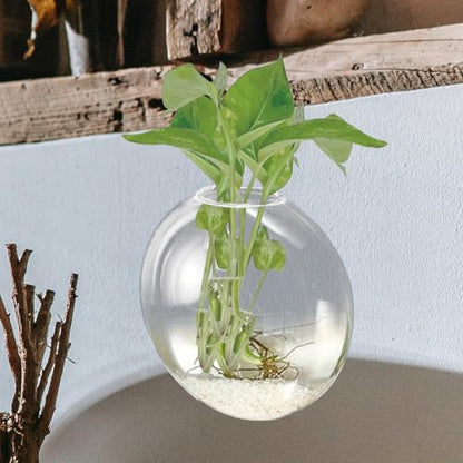 Wall Hanging Hydroponic Glass Vase for Plants, Flat Glass Terrarium Planter, Balcony and Home Décor, 1pcs Set