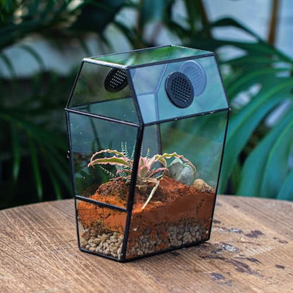 NCYP Gothic Glass Enclosure for Jumping Spider, Snails, Insects - Front Opening Door Geometric Terrarium with Vent Holes, Indoor Tabletop Coffin Shape Decor, Black (Terrarium Only)