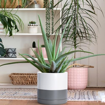 D'vine Dev 10 Inch Ceramic Planter Pot, White/Grey, 94-O-E-6 | Modern Cylinder Design, Drainage Hole & Saucer Included, Stable Structure, Elegant Home Accent - color: White/Speckled Grey, size: Large