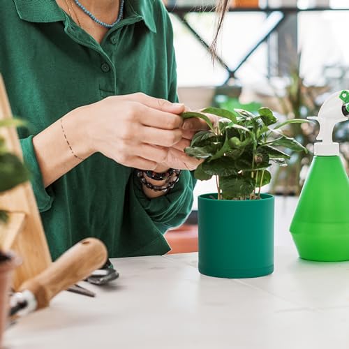 D'vine Dev 3-Pack Plastic Pots & Saucers, 4/5/6 in, Green, 74-V-D-1 | Multi-Size Options, Lightweight Durable, Matte Finish, Cylinder Shape, Drainage Holes, Sleek Design, Detachable Saucer - color: Green, size: Small
