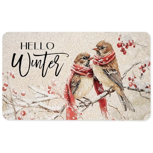 Hello Winter Sparrow Bird Door Mat, Snowy Christmas Berry Bird Doormat for Front Door Indoor Outdoor Entrance Porch, Winter Xmas Welcome Mat Outside, Xmas Holiday Bath Mats, 17x30 Inches - color: Sparrow Bird