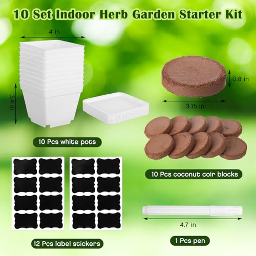 Ripeng 10 Set Indoor Herb Garden Starter Kit, Herb Growing Kit with Pots, Nutritional Soil, Plant Markers, Kitchen Window Planter, Gardening Gift for Women Men Indoor Outdoor