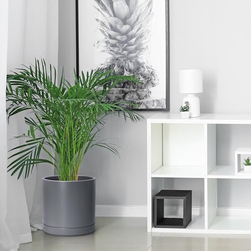 D'vine Dev 3-Pack Ceramic Pots & Saucers, 6/8/10 in, Grey, 94-T-L-3 | Glazed Ceramic, Drainage Hole, Perfect-Fit Saucer, Sleek Cylinder Shape, High Temperature Fired, Elegant Home Accent - color: Gray, size: 6"+8"+10"