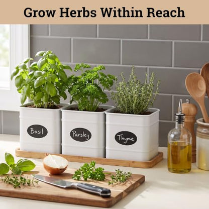 Herb Planter Indoor, 3-pc Herb Pots w/ Drainage Holes, Bamboo Tray & Labels | Iron Herb Pots, Varnished Bamboo Tray with Anti-Skid Base, Customizable Oval Sticker and Stick Labels & Chalkboard Marker Pen - color: White