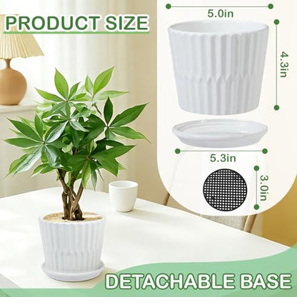 sietpoek 5.5” Ceramic Plant Pots with Drainage and Saucer 4PCs White | White Ceramic Flower Pots with Drainage Hole and Saucer, Decorative Planter for Indoor Outdoor Garden Plants Succulen - size: 5.5 Inch