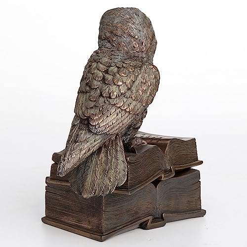 Veronese Design 7 1/8 Inch Owl Perched On Top of Books Cold Cast Resin Bronze Finish Trinket Stash Box