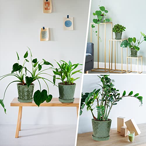 EFISPSS Flower Planter –5 inch Ceramic Plant Pots with Drainage Hole and Ceramic Tray - Gardening Home Desktop Office Windowsill Decoration Gift Set of 4 - Plants NOT Included - color: Patina
