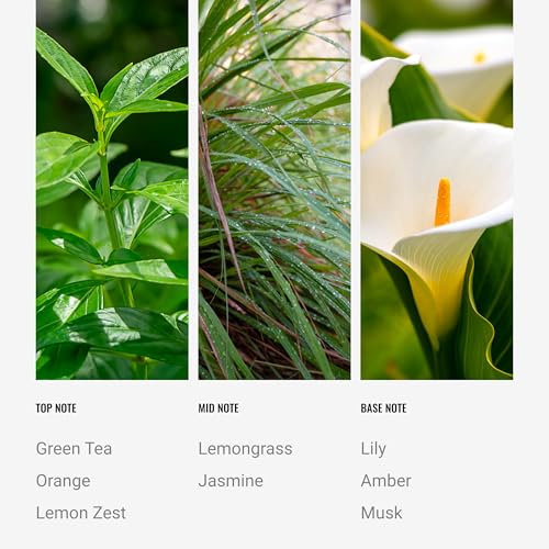 Hotel Collection | California Love Reed Diffuser Set | Hotel Inspired Luxury Essential Oil Reed Diffuser | Green Tea, Orange and Lemongrass 3.4 fl oz, 100 mL
