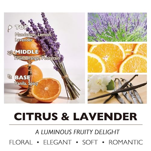 HomeLights Scented Candles - Large Jar Aromatherapy, Natural Soy Wax, 130 Hour Long Burning, Citrus & Lavender - color: Citrus & Lavender