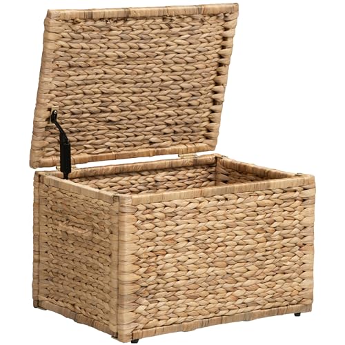 Storage Trunk with Metal Frame, Natural, 20.5 by 14.8 by 13.4 Inches | Safety Hinge, Heavy-duty Wicker Chest, Handwoven Water Hyacinth - color: Natural (Hyacinth), size: 20.5" x 14.8"