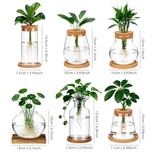 6 Pcs Plant Propagation Station Set, Glass Propagation Vases for Plants with Wooden Lids & Bamboo Stands, Hydroponic Vase Jars for Plant Cuttings, Terrarium Planters for Desk, Home Office Decor