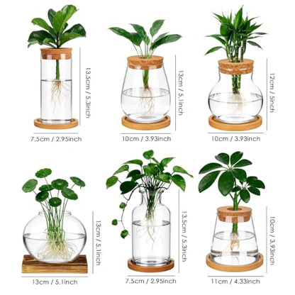 6 Pcs Plant Propagation Station Set, Glass Propagation Vases for Plants with Wooden Lids & Bamboo Stands, Hydroponic Vase Jars for Plant Cuttings, Terrarium Planters for Desk, Home Office Decor