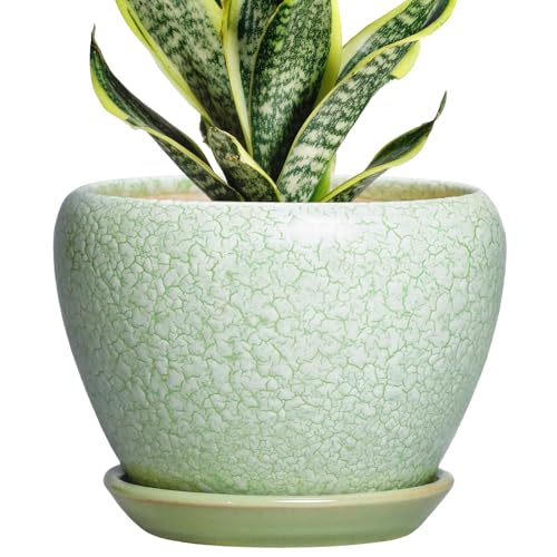 Ceramic Flower Pot, 6 Inch, Crackle Light Green | Drainage Hole and Saucer, Modern, Round Indoor Planter, For Indoor Succulent Plants - color: Crackle Light Green, size: 6 Inch
