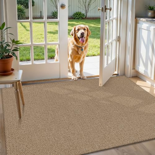 HEBE Cotton Woven Small Area Rug 2'8"x4', Washable Braided Indoor Door Mat | Non Slip Rubber Backed Entryway Rug, Neutral Low Profile Doormat Entrance Carpet for Front Porch, Bathroom, Kitchen - size: 2'8" x 4' (Rectangular)