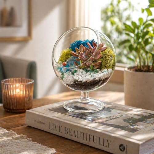 Creations by Nathalie DIY 6" Chalice Terrarium Kit Build Your Own Glass Terrarium for Adults & Teens, DIY Terrarium Kit with Live Moss, Crystals, Soil (Plant Not Included) | DIY chalice glass terrarium kit with moss and tools, including supplies for creat