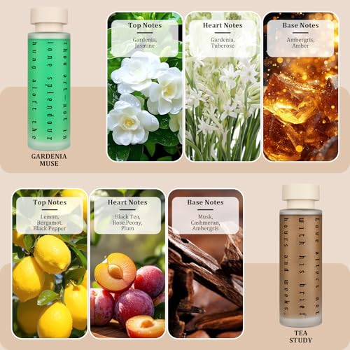 Ikeda Reed Diffuser Gift Set: 4 Luxury Scents with Eucalyptus | Home Fragrance Oils for Bedroom Bathroom Office Living Room Scents for Relaxation Focus Mood Luxury Gift Set
