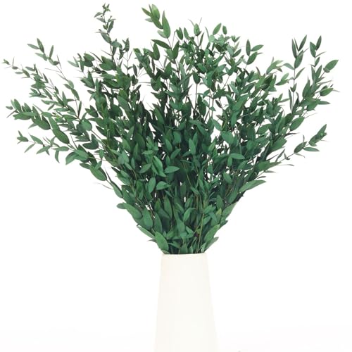 7-12 Pcs Preserved Eucalyptus Stems, 14-17" Greenery Leaves for Vase Filler | Natural Real Dried Plant Branches, Flower Arrangement, Wedding, Farmhouse, Home Fragrance, Bathroom Decor, Crafting, Spa Gift - color: Green