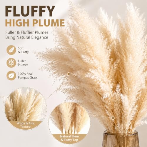 43.3 Inch Natural Pampas Grass Bouquet, 23.6 Inch Large Fluffy Plumes, Zero Maintenance Boho Farmhouse Decor for Floor Vase, Wedding Party Home Decoration, 10 Stems