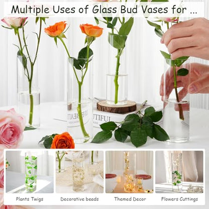 5.9" Cylinder Glass Bud Vases Set of 10 Mini Clear Skinny Vase Small Glass Vases for Flowers Cylinder Vases for Centerpieces Bulk Bud Vase Floral Vase Decor for Wedding Bridal Shower Birthday
