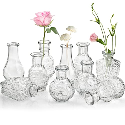 10-Pack Clear Glass Bud Vases, Small Flower Vase for Centerpiece, Tiny Vases for Flowers, Mini Floral Bottle Short Vase for Decor, Tea Party, Table, Plants, Home, Wedding, Gift, Assorted Shape