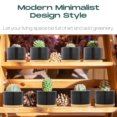 Cindeer 12 Sets Succulent Plant Pot Ceramic Succulent Pots Container Cactus Pots with Bamboo Tray Small Cylinder Flower Plant Pot with Bamboo Saucers for Plants Indoor Outdoor (Black,3 x 2.17 Inch) - color: Black