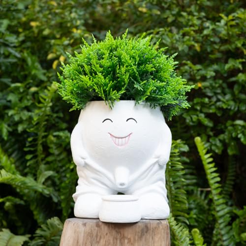 Funny Planters Smiley Face Planter Pot with Drainage Hole, Cute Resin Succulent Plant Pots, Unique Novelty Cute Cactus Face Pots for Office Desk Plant Pots Gift White - color: White-a