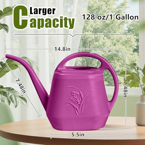 Plant Watering Can - 1/2 Gallon - Rose Red | With Long Spout for Watering-Home Indoor and Outdoor Garden - color: Rose Red