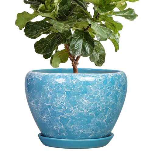 Indoor Plant Pots 10 Inch - Ceramic Planter for Outdoor Plants, Decorative Round Planter with Drainage Hole and Saucer, Flower Pots Outdoor, Apartment Decor, House Warming Gift, Bubble Blue - color: Bubble Blue, size: 10 Inch