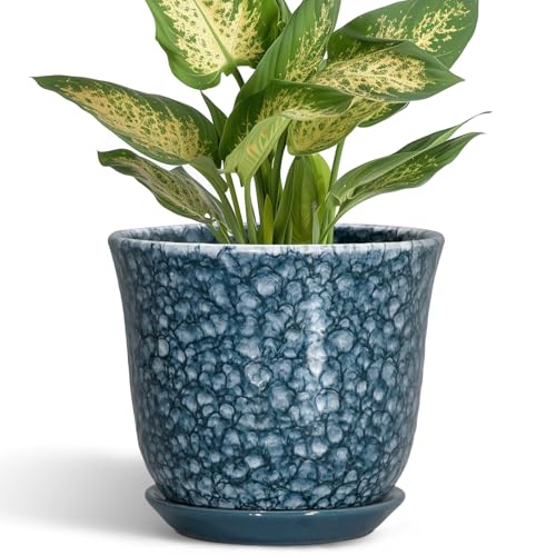 Ceramic Pots for Plants - 5.6 Inch Plant Pot for Indoor Outdoor, Round Succulent Orchid Pot with Drainage Hole and Saucer, Modern Small Flower Pot, Room Home Decor, Plant Lover Gifts, Blue - color: Scale Blue-grey, size: 6 Inch