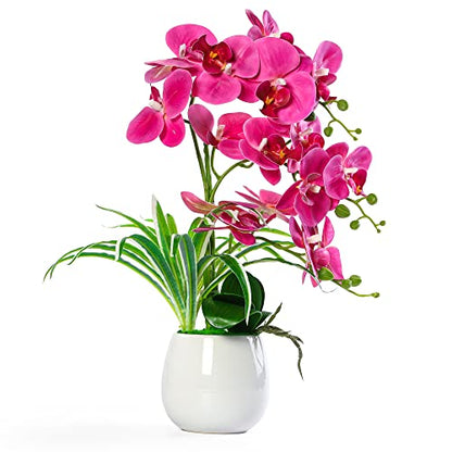 W&W Artificial Orchid Plants and Flowers with Vase, Fake Faux Orchid in Ceramic Pot,19”, Fuchsia - color: Fuchsia 01