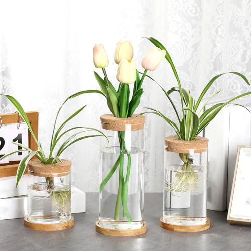 3 Pcs 3 Sizes Plant Propagation Station Separated Glass Plant Terrarium Water Hydroponic Planter Holder with Lid and Wooden Stand Propagation Vase Pot for Home Indoor Office(Various Sizes) - size: Various Sizes