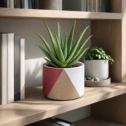 D'vine Dev 2-Pack Cachepot with Clear Pot, 6.5" Low, Crimson Dune, 93-V-D-4 | Dual-Pot System, Root Visibility, Bottom Watering Support, Enhanced Drainage, Artistic Stoneware Design, Easy Plant Care - color: Crimson Dune, size: 6.5” Cachepot + 6“ Clear Gr