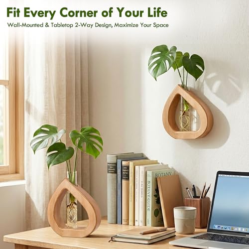 Glass Test Tube Terrarium Plant Propagation Station Holder | Wall Hanging for Indoor Water Plant Rooting, Wall Home Decor, Thoughtful Gardening Gift for Mom and Plant-Loving Women - size: 5.3*5.9IN