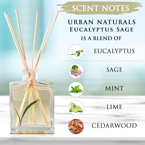 Reed Diffuser Set, Eucalyptus Sage - Bathroom Shelf Décor | Mint, Lime & Cedarwood Essential Oils, Relaxing scent, Sleek Rectangular Refillable Glass Bottle - color: Eucalyptus Sage