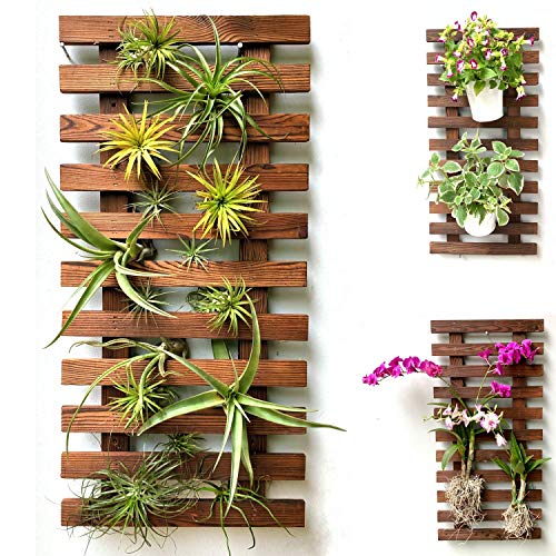 ShopLaLa Wall Planter - Wooden Hanging Planter for Indoor Plants, Plant Stand, Air Plant Succulent Holder, Vertical Garden. Large Wall Decor for Living Room, Room Decor for Teens, 60cm (23.6") | Air Plant Succulent Holder, Plant Stand, Vertical Garden Lar