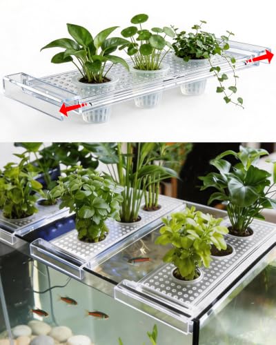 2026 Telescoping Aquarium Plant Holder with 3 Cups, Clear Acrylic | Rim-Mount Rack, For 5.5 gal 10 gal 40 gal 75 gal, For Live Plants, Aquaponic Fish Tank, For Pothos, Betta & Aquascape Decor