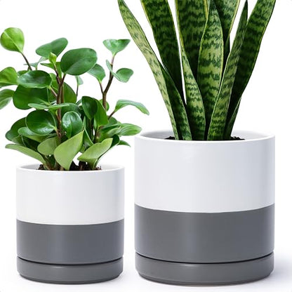 D'vine Dev 2-Pack Ceramic Pots with Saucers, 6/8 in, White/Grey, 94-G-M-6 | Glazed Ceramic, Drainage Hole, Perfect-Fit Saucer, Sleek Cylinder Shape, High Temperature Fired, Elegant Home Accent - color: White/Speckled Grey, size: Medium