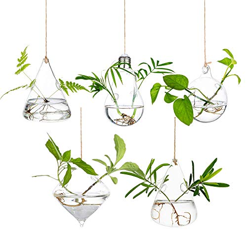Glasseam Hanging Plant Propagation Station: 5Pcs Small Glass Terrarium Jars | Hydroponic Planters for Indoor Pothos Cutting Propagate, Home Wall Window Decor, Handmade, Gifts for Plant Lovers