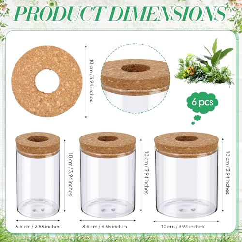 6 Pcs Glass Plant Propagation Stations (2 Large + 2 Medium + 2 Small) Hydroponic Flower Vases Desktop Plant Terrarium Jar for Cuttings, for Living Room, Bedroom, Home Decoration