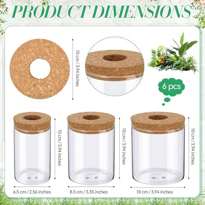 6 Pcs Glass Plant Propagation Stations (2 Large + 2 Medium + 2 Small) Hydroponic Flower Vases Desktop Plant Terrarium Jar for Cuttings, for Living Room, Bedroom, Home Decoration