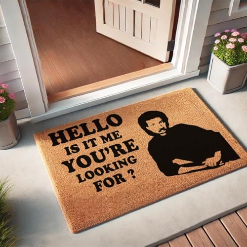 Funny Coir Doormat Welcome Front Porch Decor Doormats with Heavy-Duty Non Slip Outdoor Coconut Mat 30 x 18inch (is It me You are Looking for) - color: Is It Me You Are Looking for