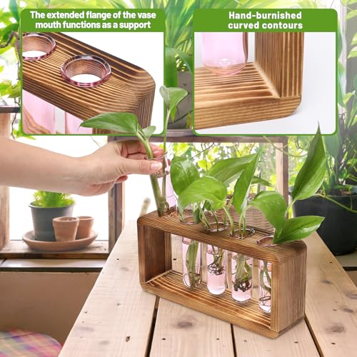 Glass Plant Propagation Station with 5 Test Tubes Colorful Planter Vase | Birthday Gifts for Women in Wooden Stand - color: Pink