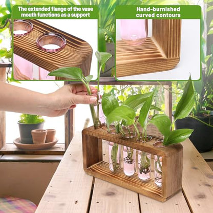 Glass Plant Propagation Station with 5 Test Tubes Colorful Planter Vase | Birthday Gifts for Women in Wooden Stand - color: Pink