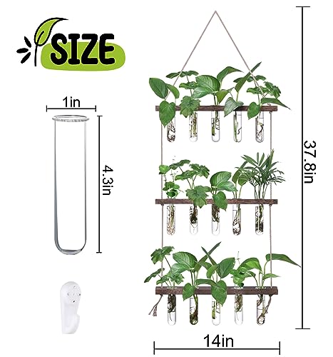 XXXFLOWER Wall Hanging Propagation Station with Wooden Stand 5 Glass Test Tubes 3 Tiered Planters Wall Terrarium for Home Office Plant Hanger Flower Vases Wall Decor Hydroponic Cuttings | 3 Tiers Plant Propagation Tubes Wall Decor Hydroponic Cuttings Plan