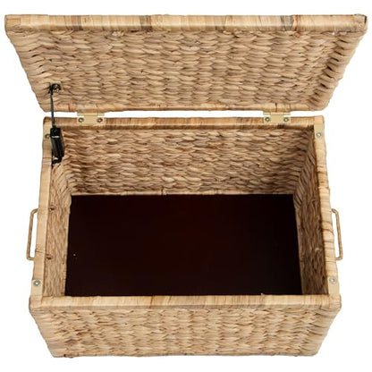 Storage Trunk with Metal Frame, Natural, 20.5 by 14.8 by 13.4 Inches | Safety Hinge, Heavy-duty Wicker Chest, Handwoven Water Hyacinth - color: Natural (Hyacinth), size: 20.5" x 14.8"